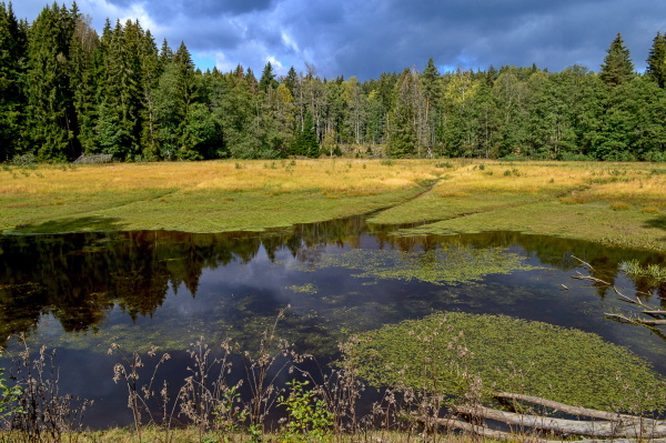 Vodní svět.