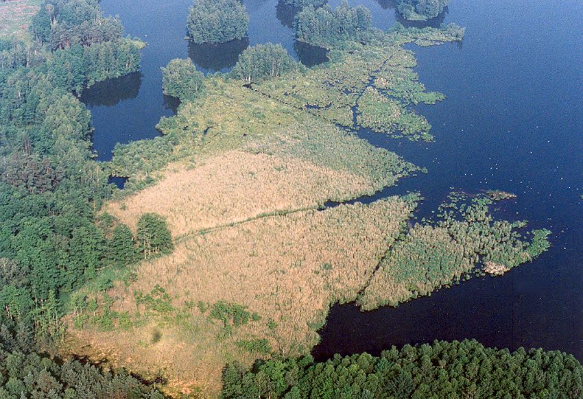 Staré jezero, foto RNDr. Jan Ševčík