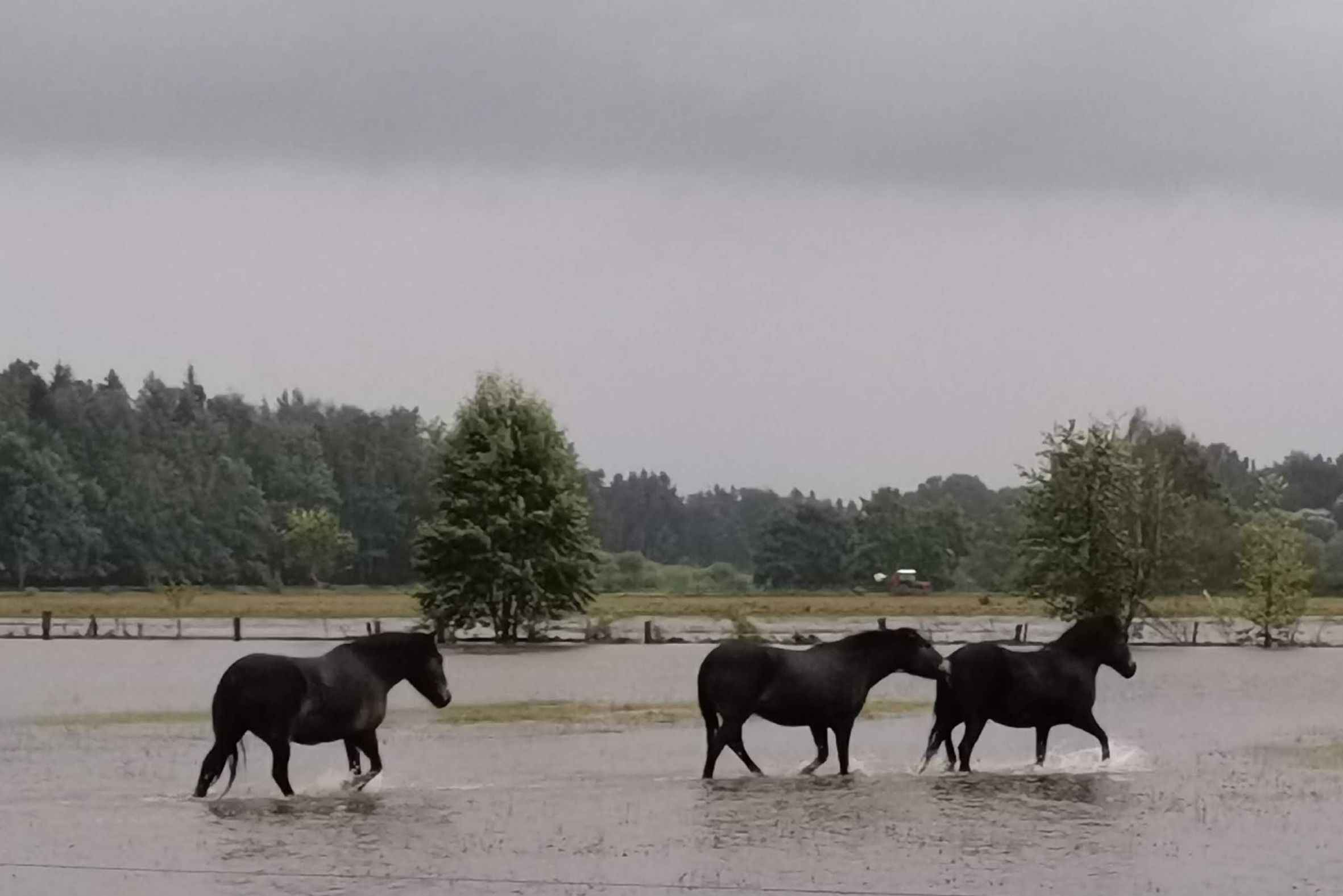 ceska-krajina-meandry-luznice-zaplavy-povoden-velka-voda-divokyi-kun.jpg